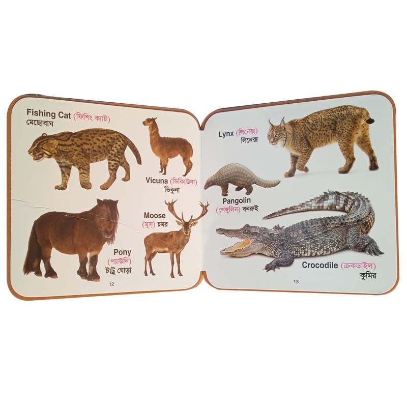 FB ANIMALS-12-13