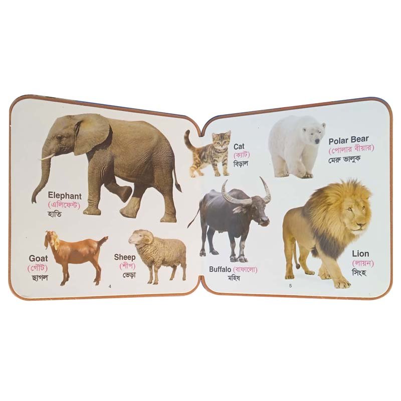 FB ANIMALS-4-5