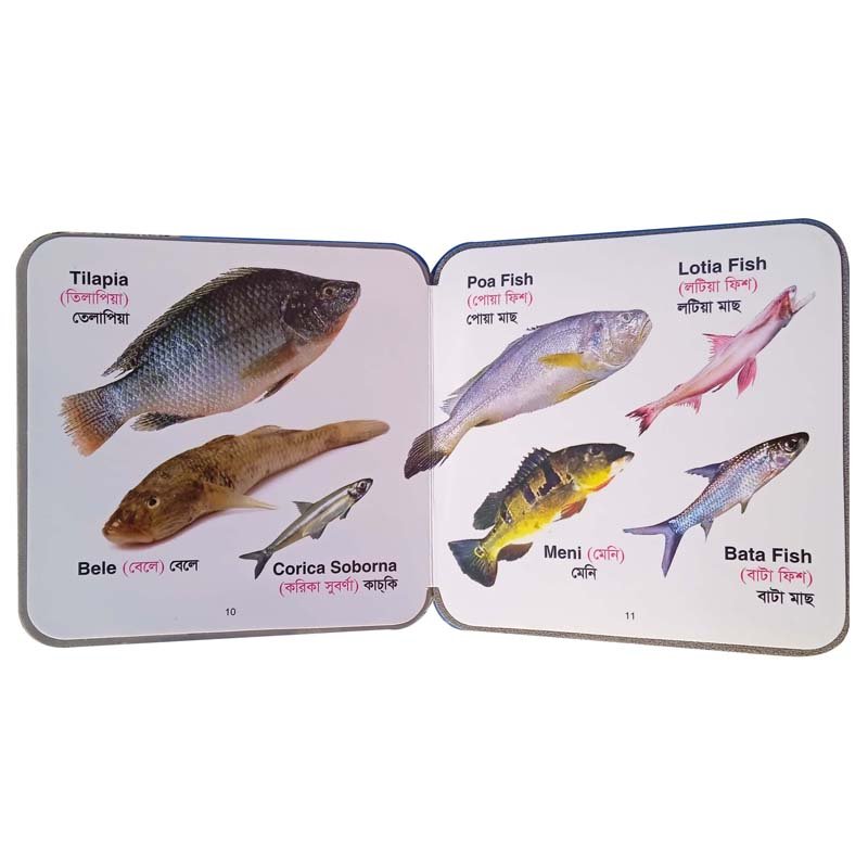 FB FISHES-10-11