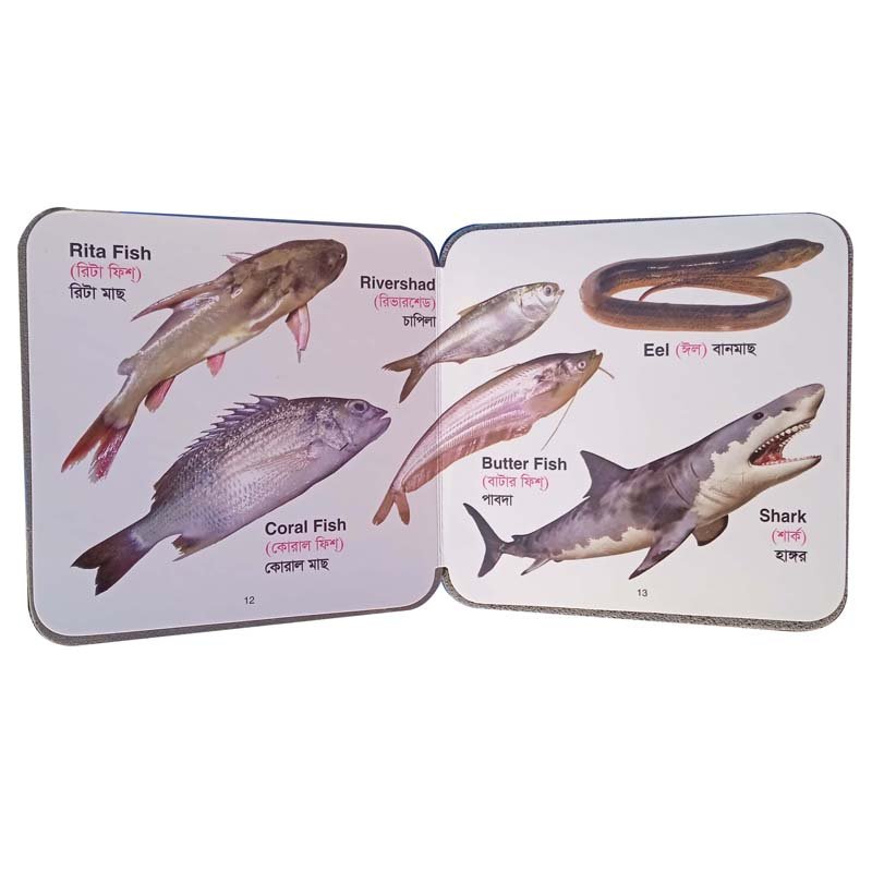 FB FISHES-12-13