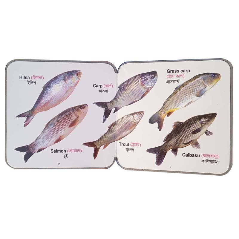 FB FISHES-2-3