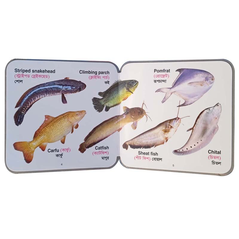 FB FISHES-4-5