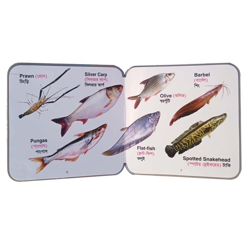 FB FISHES-6-7