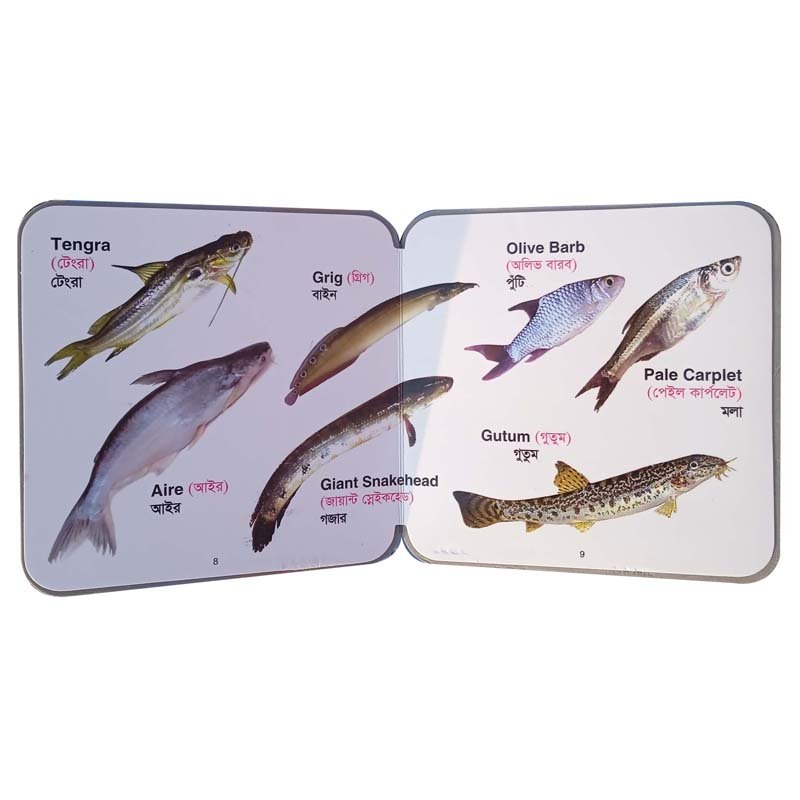 FB FISHES-8-9